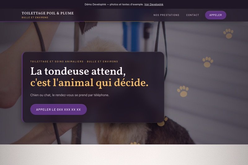 Aperçu du site d'exemple — Toilettage