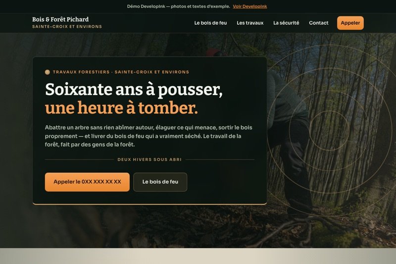 Aperçu du site d'exemple — Forestier · bois de feu